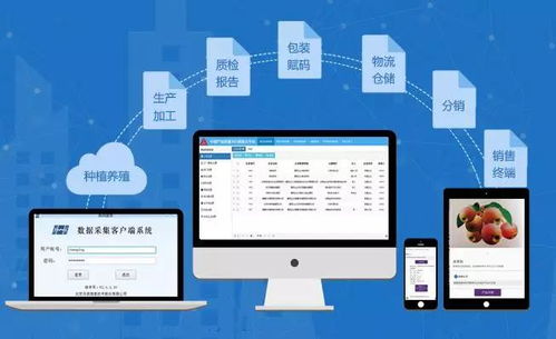兆信股份 溯源为何离不开物联网与物联网技术服务